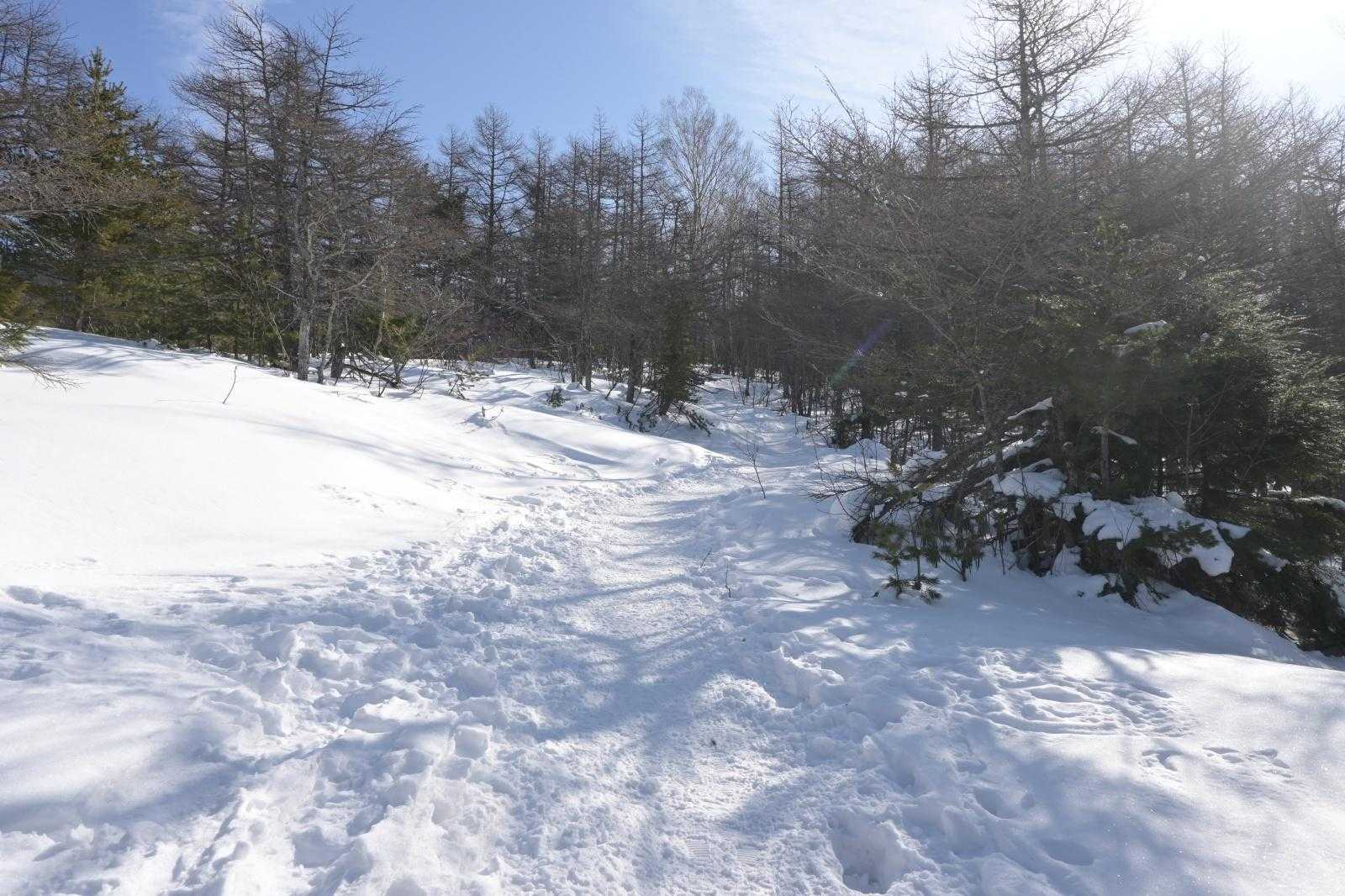 登りは表コースから。