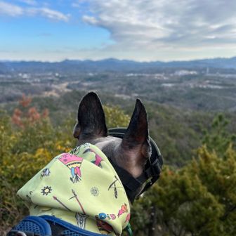 城ヶ岡からの眺め