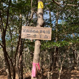 最も奥にある二十丁山。足利100名山の一つのようだ。山頂の眺めはない。すぐに引返す。

とある方から、足利100名山は140あるそうな。凄いなぁ。