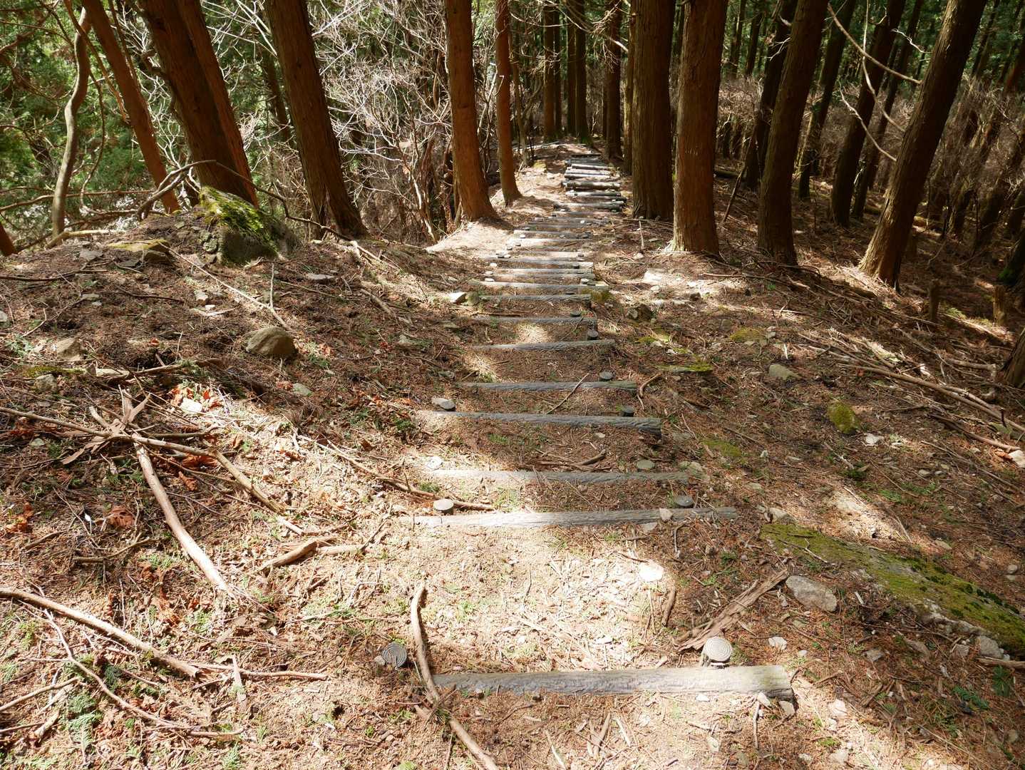 またまた階段！
行きに登ったよね😄
