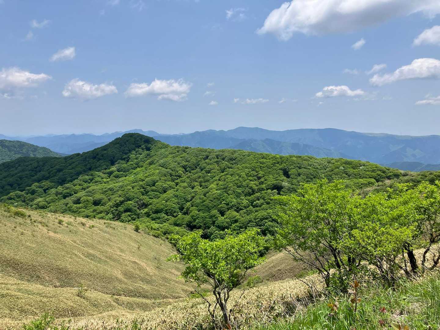 さっき行ってたウバホド山の山容
登山口からしばらく笹原で、山頂近くで樹林帯になる
こっち側から見たら木が多いね🌲