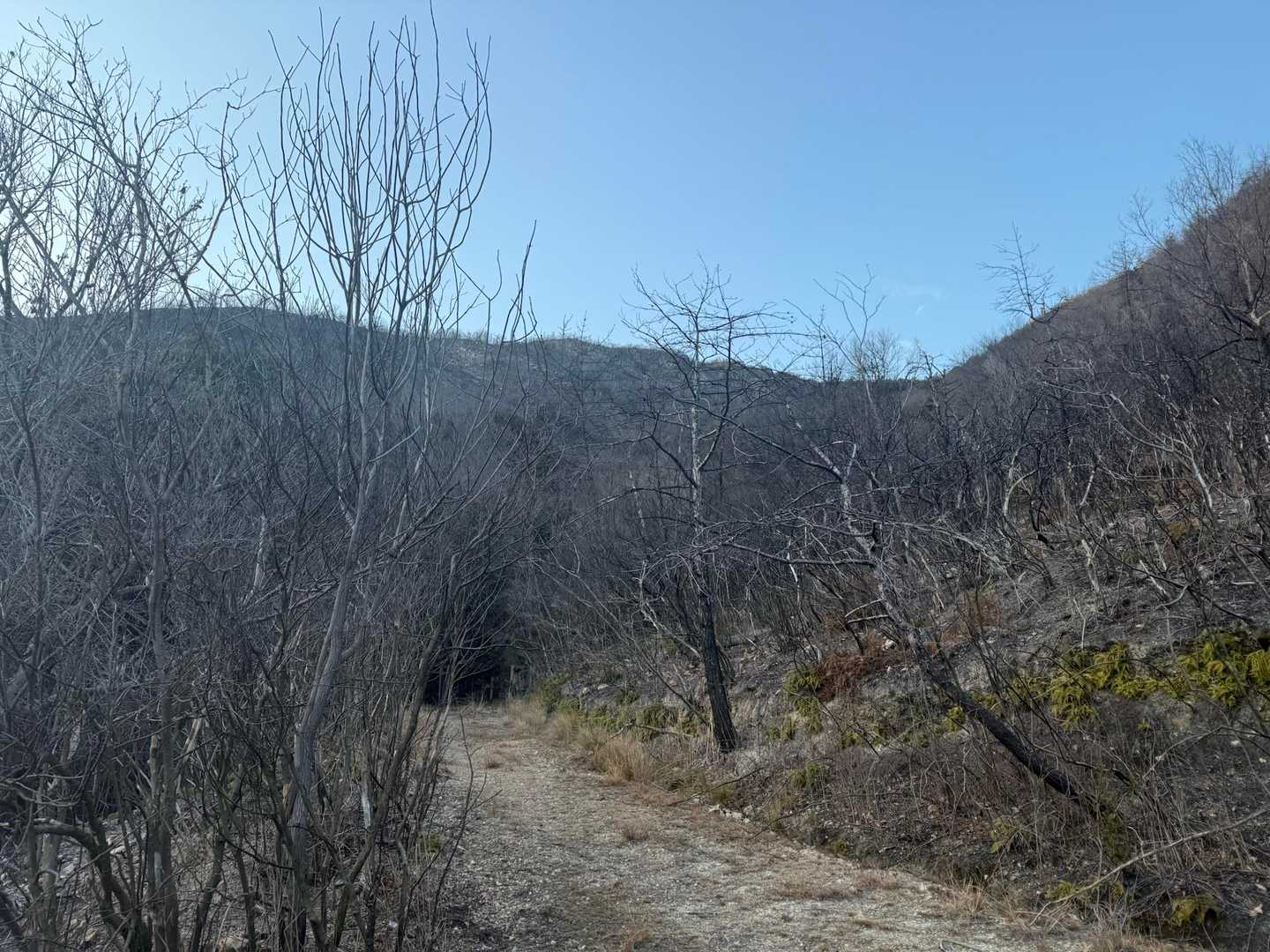 火事の影響です。