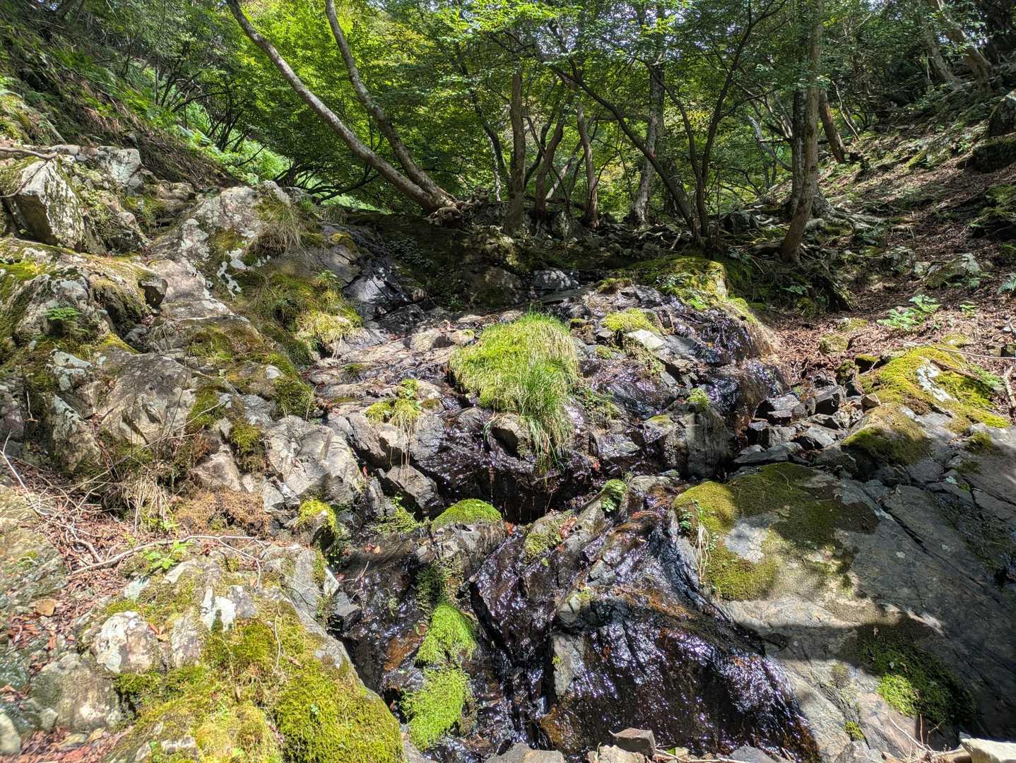 水量が減ってくるとやっぱり汗が噴き出す😵
