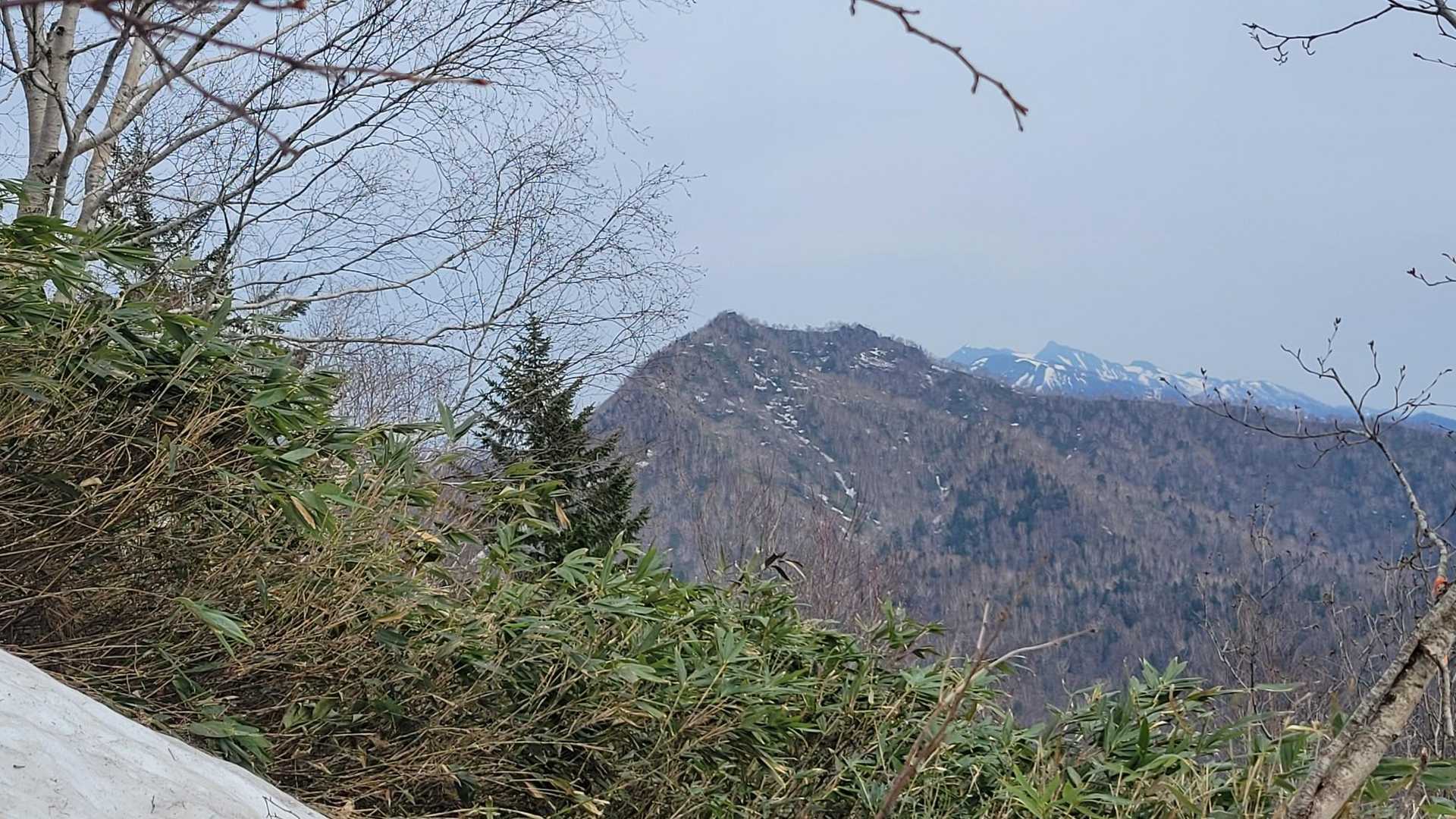 序盤から急登でした💦