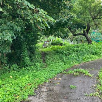 東口付近はいくつかお墓があります