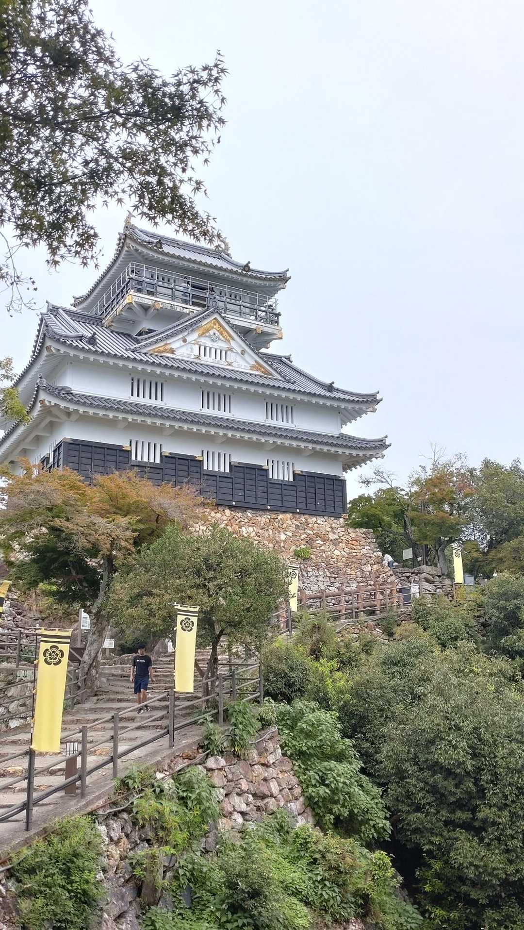 おはようございます