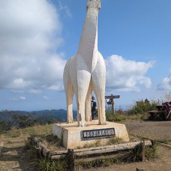 山頂のお馬さん