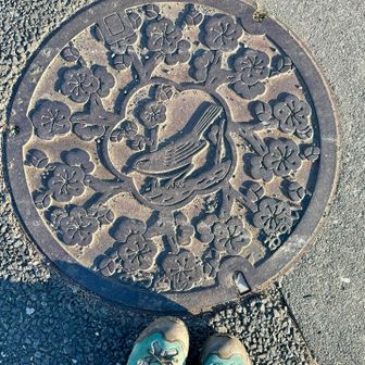 梅が咲く頃も訪れたい