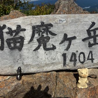 猫魔ちゃん少しアップ
クワガタもいます