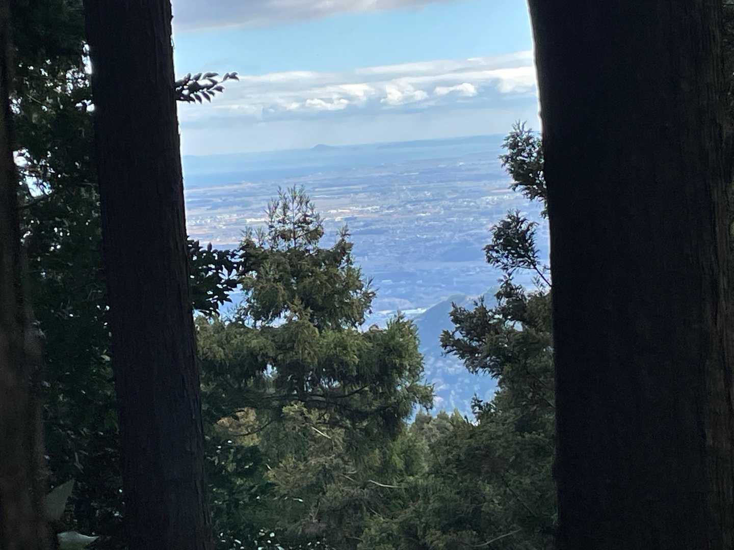 木々の間韓景色が広がる