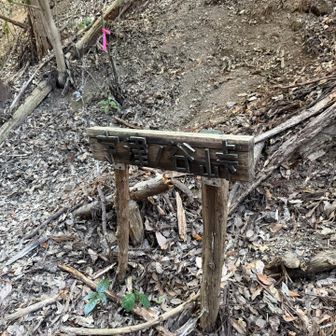 『宇津ノ谷峠』✨
あと少しで、半分だぁ😭