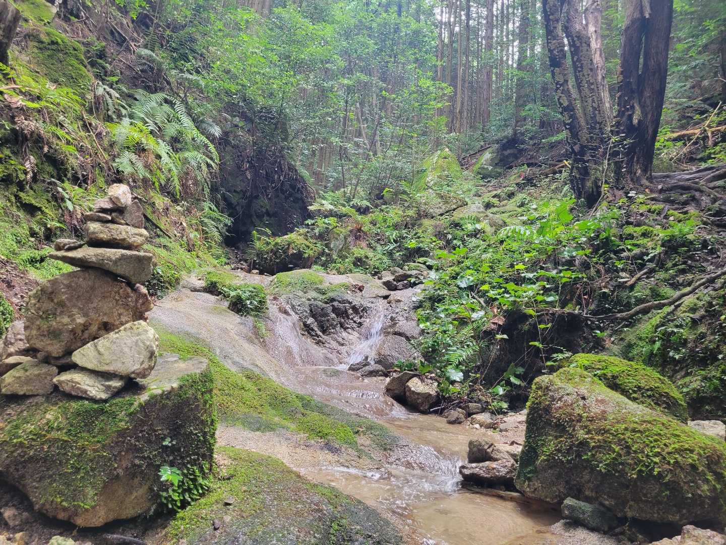 素敵な登山道ᨒ𖡼.𖤣𖥧