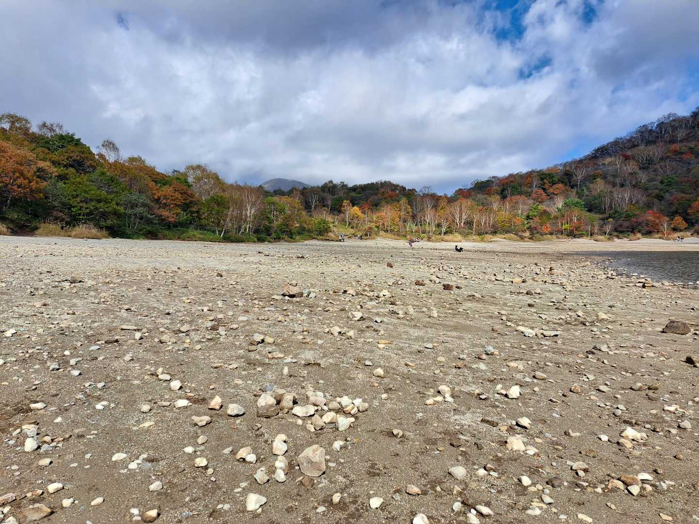 干上がって小沼ビーチ誕生⛱️