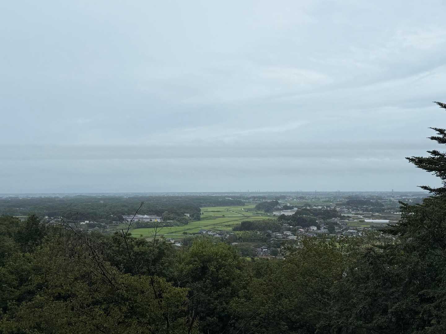 明るい場所からの眺めに、ホッとする🩷
みかも山公園の閉門時間まであとわずか⏰
雨の中傘さして☂️心拍数上げて歩く💨

誰ともスライドせず😱
うっすら暗くて
ヤツが出てきそう🐗💨で不安に💦
鈴を鳴らす🛎️が、
これじゃダメかも🙅‍♀️

それで❗️スマホに入ってる音楽を適当にかけたら
♪心配ないからね〜
とKANちゃんが歌い始めた⁉️
色々心配🫨だらけですが😯
最後に「愛は勝つ」らしいです🤔❓

おかげでイノシシ🐗に思いが届き❓
遭遇せずにすみました🙇‍♀️