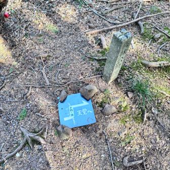 開けている地面に...