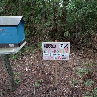 ⛰️　今年は　関デジスタに川辺デジスタと忙しくなりそう😆