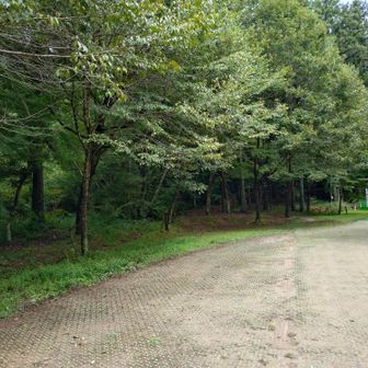 各務野自然の森から