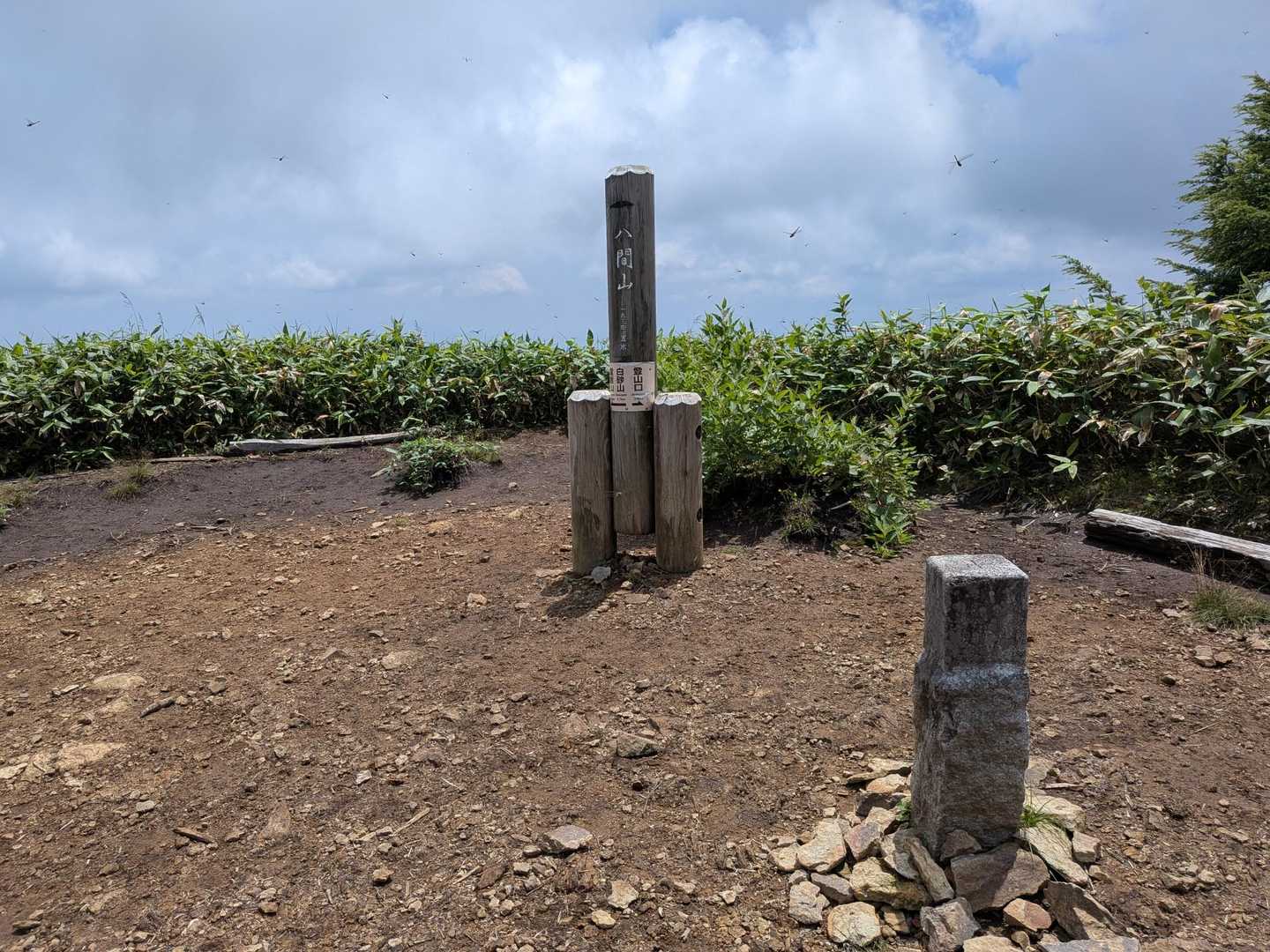 富士見峠-八間山 往復コースの写真