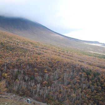 だんだん分厚い雲が流れてきて陽が当たらなくなってきたので下山しよう…