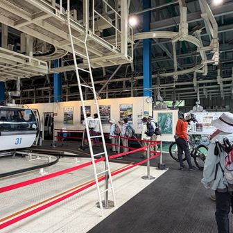 自転車🚲も乗れるのね😆