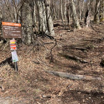 高指山登り口まで下りてきました。
