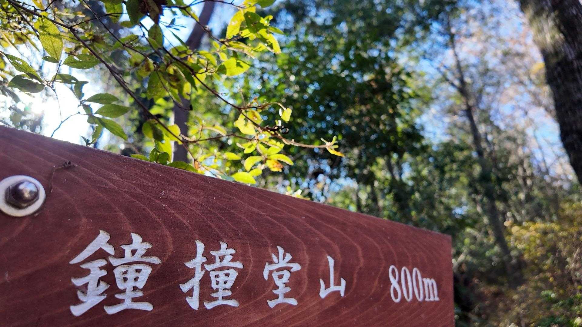 八幡山-鐘撞堂山 周回コースの写真