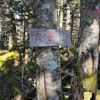 青笹山