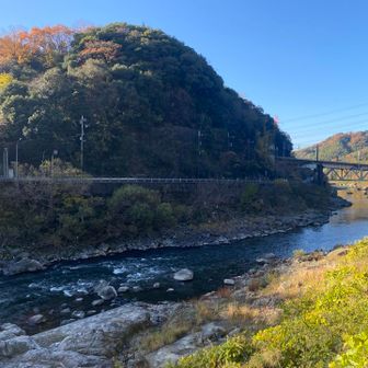 どれが亀岩？と川の中を見るがそれっぽいものはなし、もしかして上のやつなのか