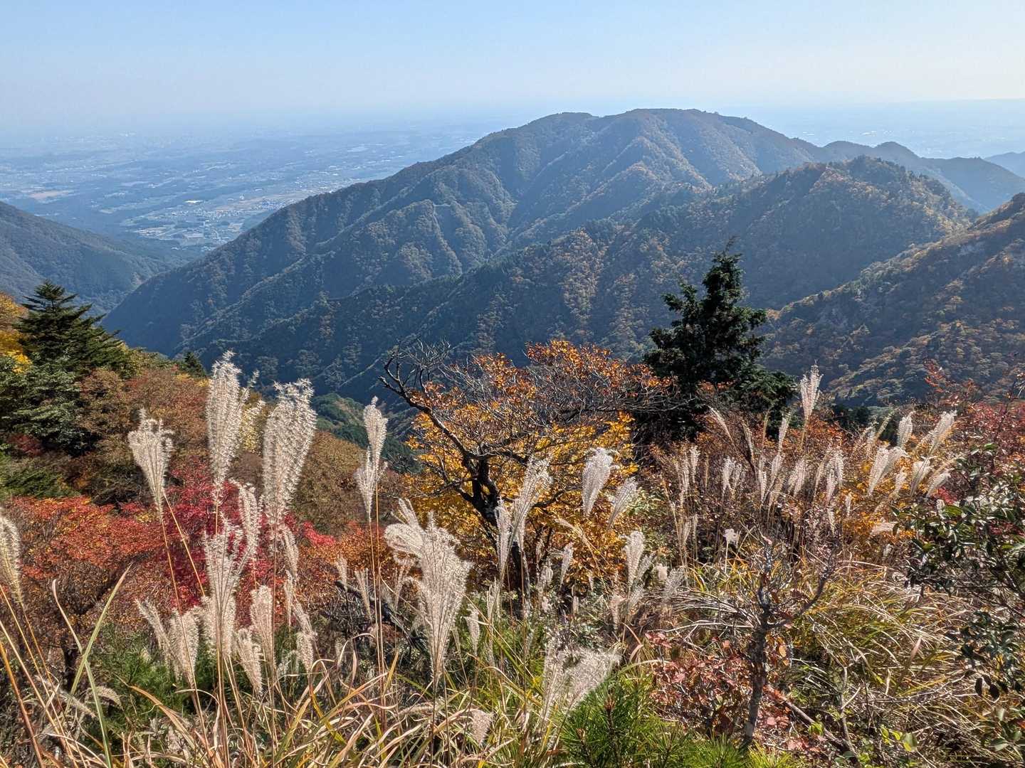 入道ヶ岳🍁