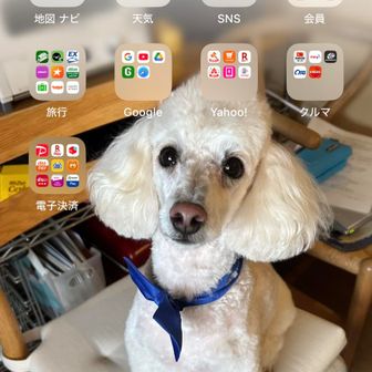 よしよし