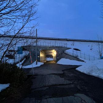 今日で塩丸最期です👋
いくよ🐶