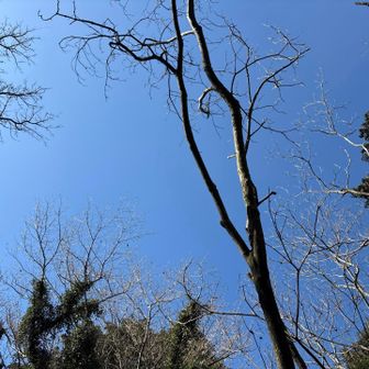 眺望なし🪟
上を見上げてパシャリ
今日はちょっと暑いくらい🫠