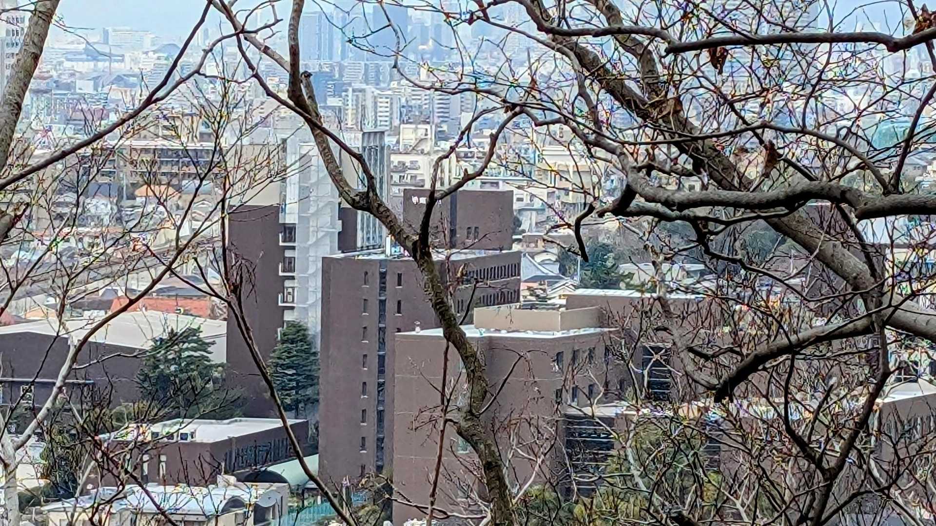 保久良梅林に向かう途中🚶振り向くと甲南大学が👀