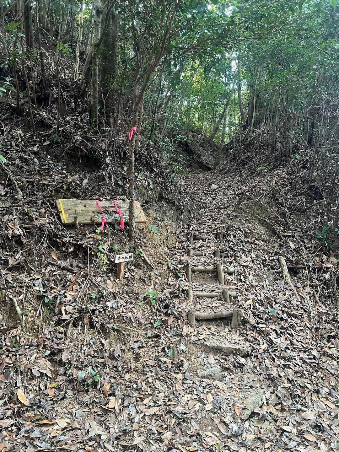 程なく登山口