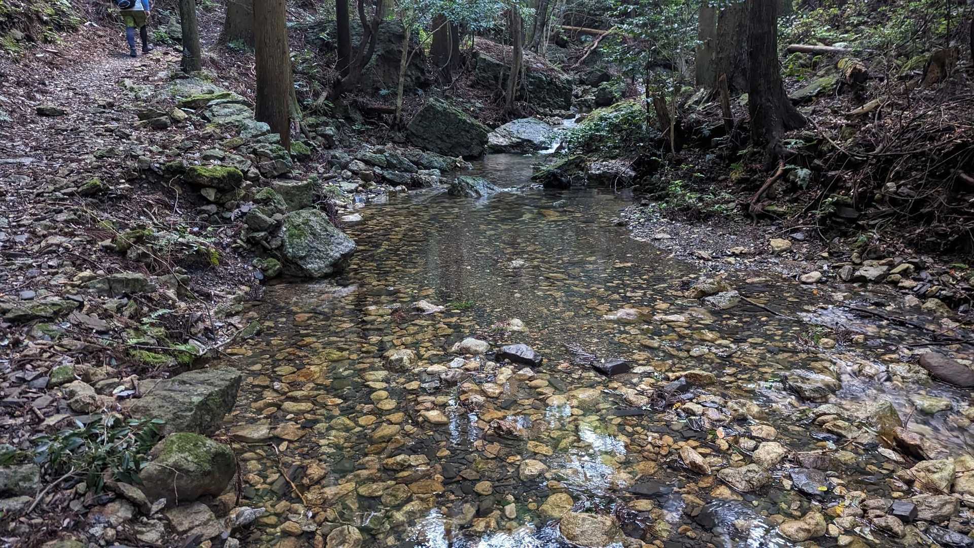 水が綺麗や、この水に帰り助けられます
