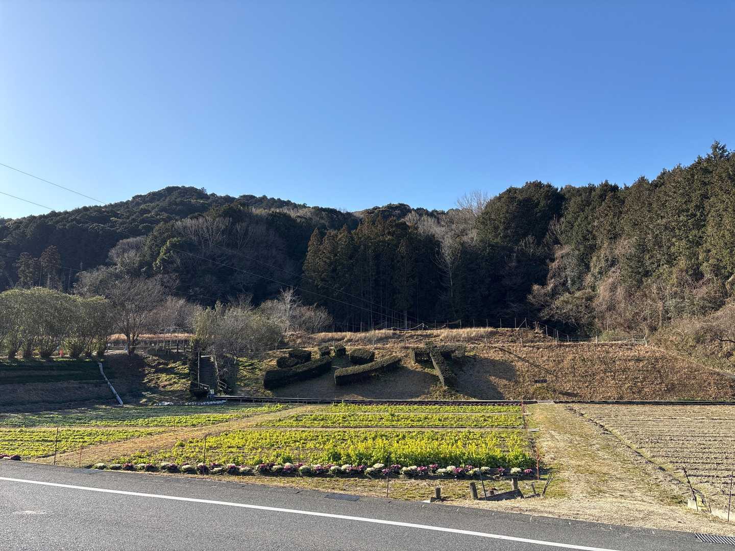 奥殿陣屋ルート登山口-村積山 周回コースの写真