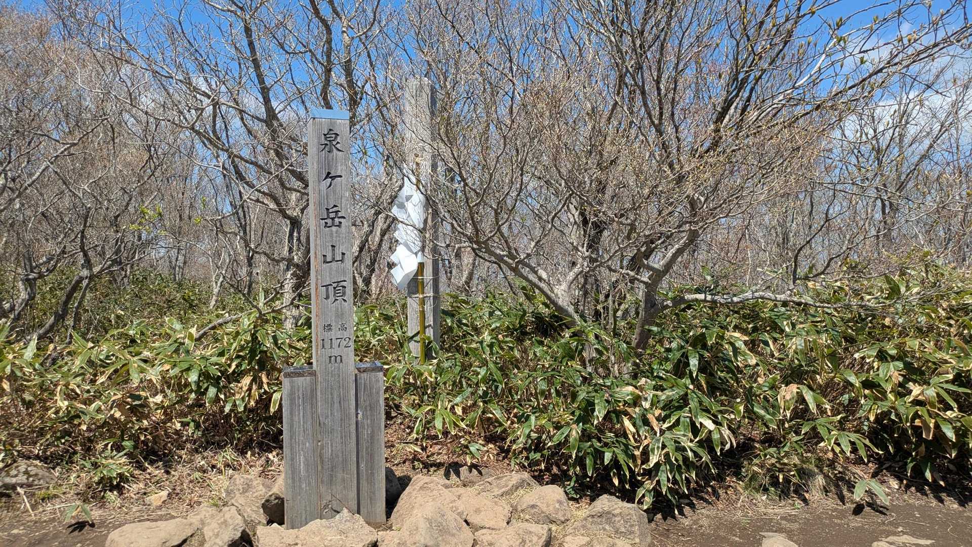 山頂は子供たちで
盛り上がっていました。