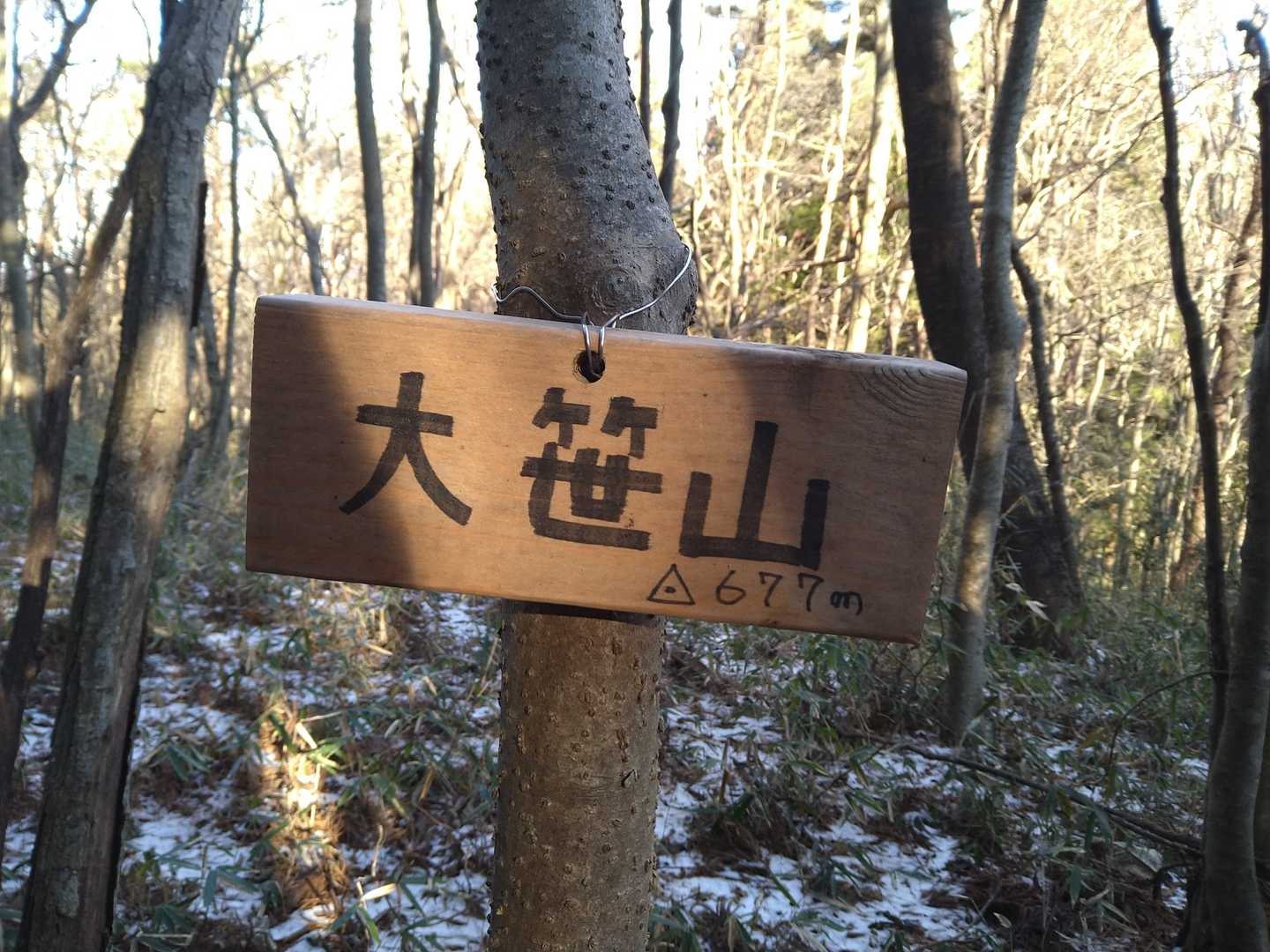 山頂看板ありました