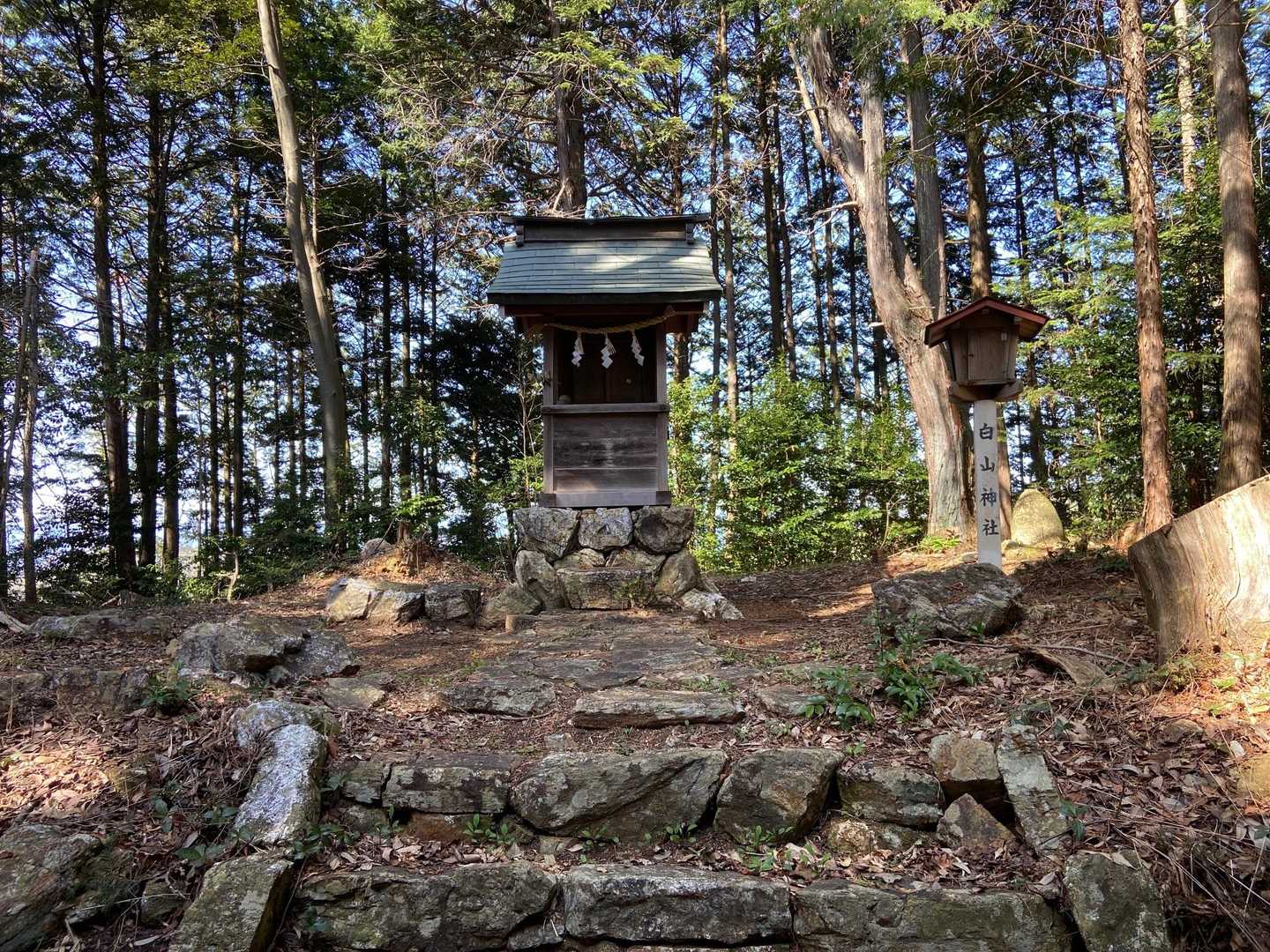 岩滝白山 往復コースの写真