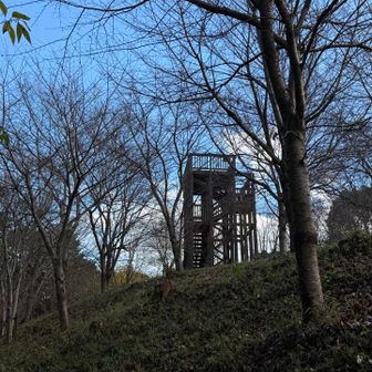 山頂展望台ですが、山頂でも無く、木が大きくなり展望はよくありません