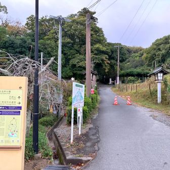 ここからスタート👣
まだ少し薄暗い
