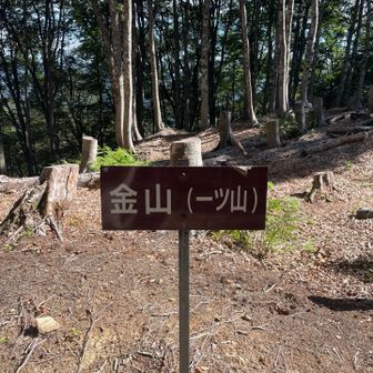金山（一ツ山）ピーク