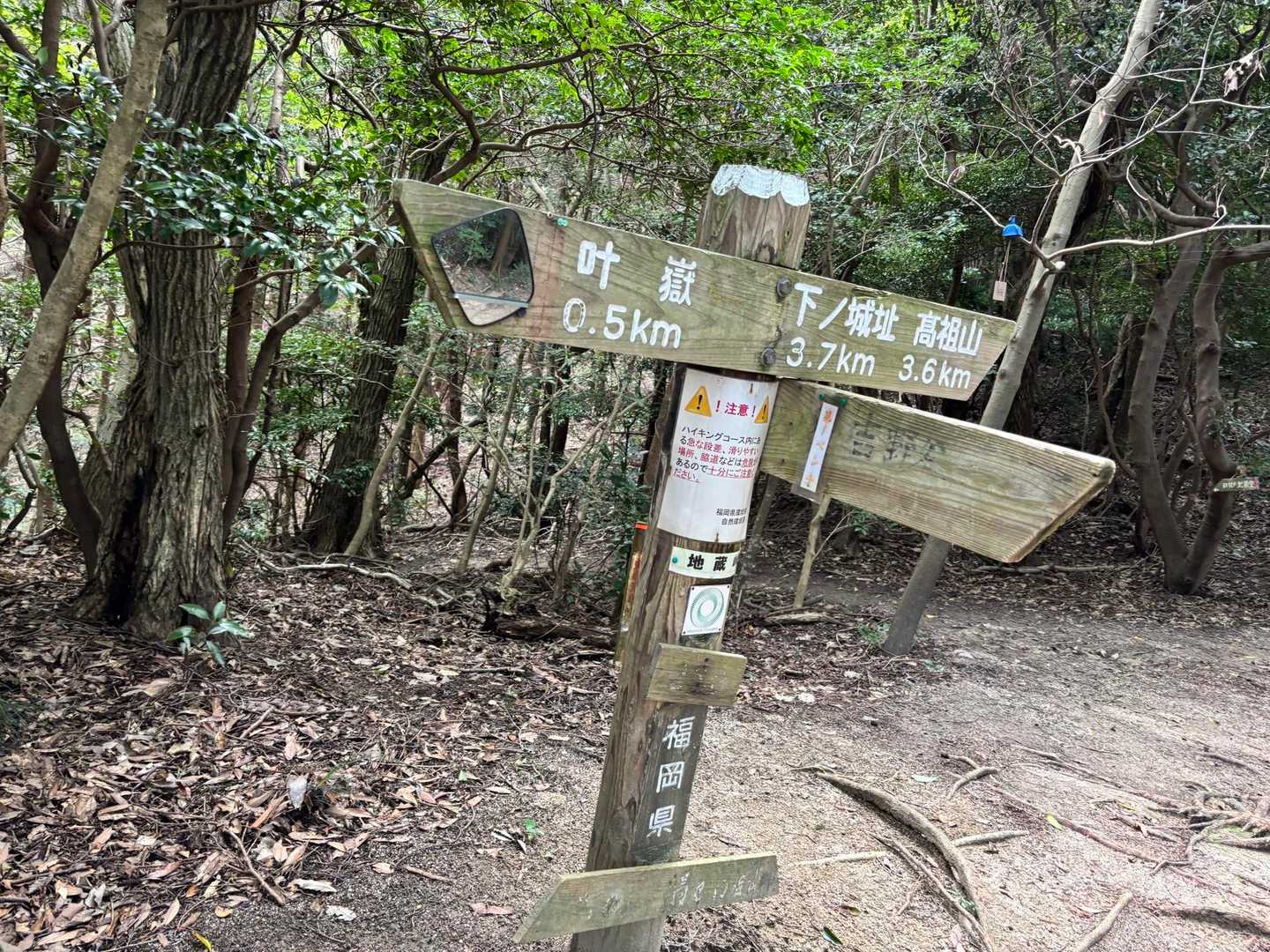 なんか撮ってしまう分岐