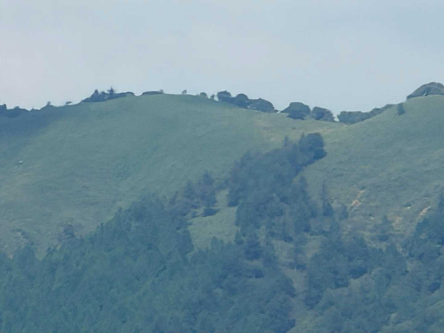 いい山だったよ