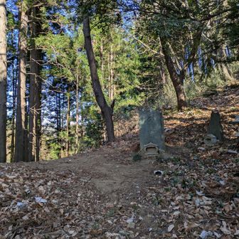 ちょっと下ると大槻峠
