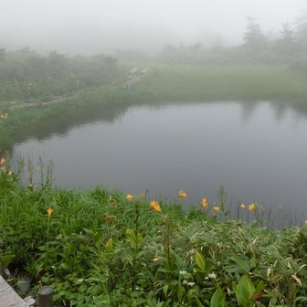 いつも楽しみにしてる池塘はこの天気じゃどうにもならんがな😥