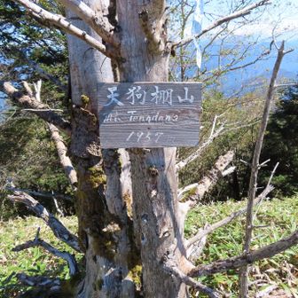天狗棚山に到着
この山頂は展望がありませんでした。でも、ほんの少し先に進んだ所に見晴らしのよい展望スポットがありました。