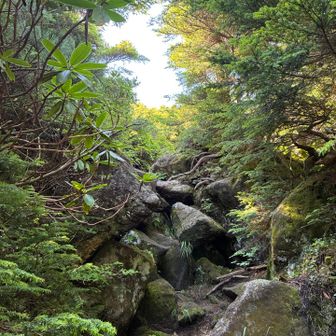 この感じ蓼科山に似てる〜