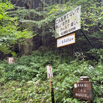 粥仁田峠
