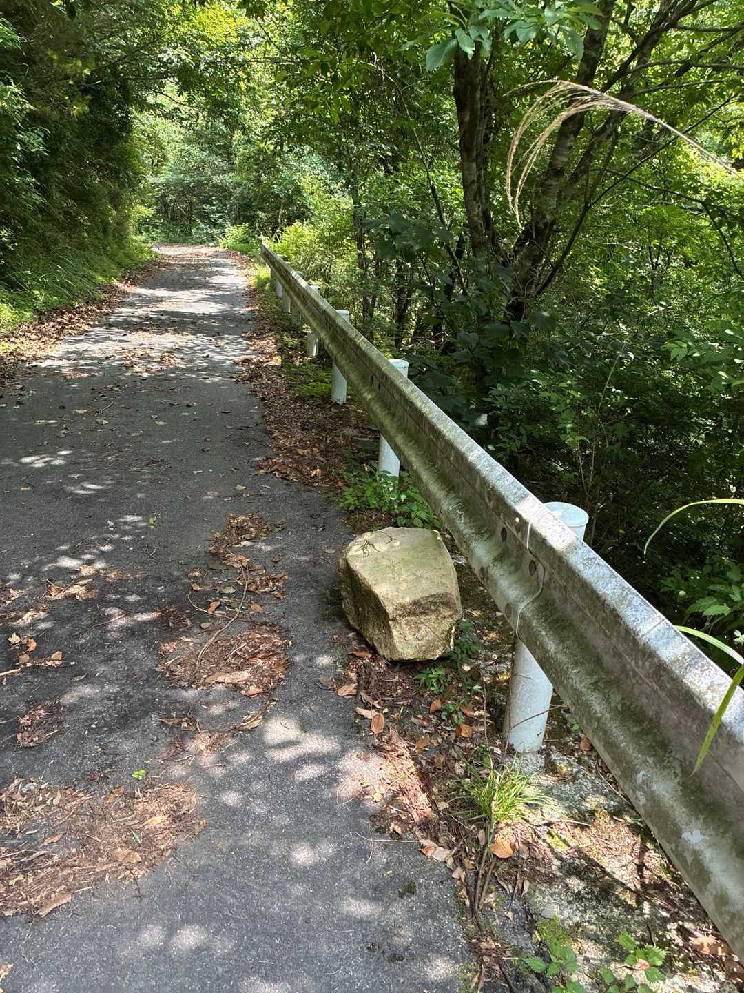 ほらね